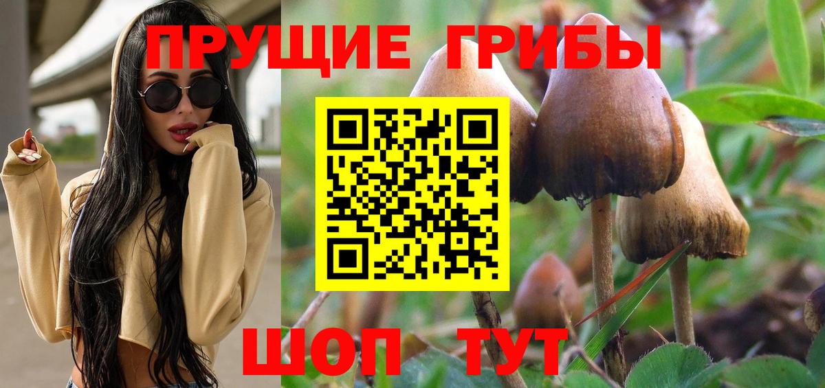 Галлюциногенные грибы мухоморы  Вход с VPN  Петропавловск-Камчатский  Псилоцибиновые грибы Psilocybe 
